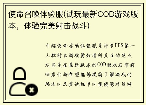 使命召唤体验服(试玩最新COD游戏版本，体验完美射击战斗)